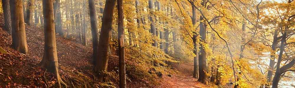 Tuintips oktober Tuinmeubelland