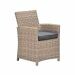 Alaska lounge dining stoel - vintage willow