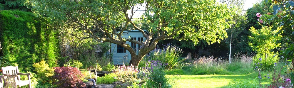 Het inrichten van een landelijke tuin